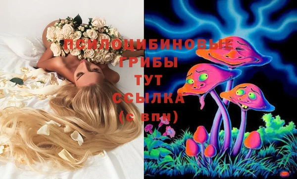 соль курить ск Алексин