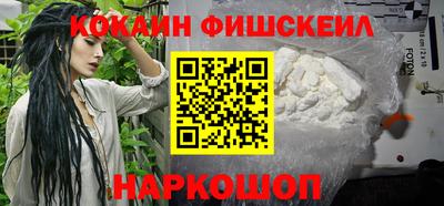крисы Кулебаки