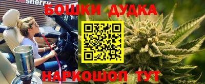 крисы Кулебаки