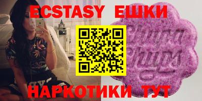 крисы Кулебаки