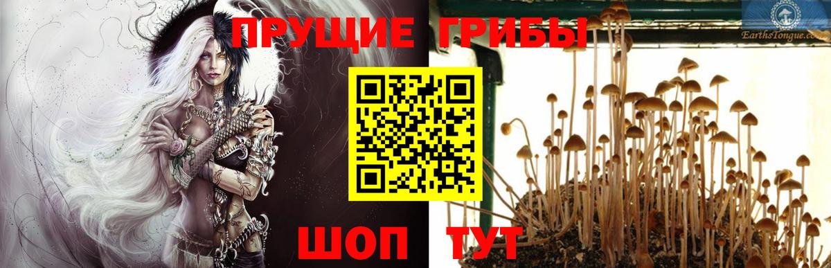 Галлюциногенные грибы ЛСД  Вход с VPN  Димитровград 